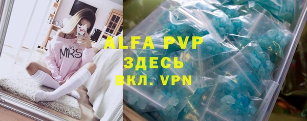 Альфа ПВП Верея