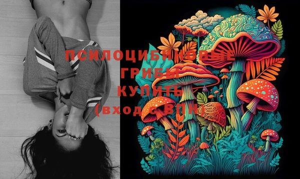 стафф Верхнеуральск