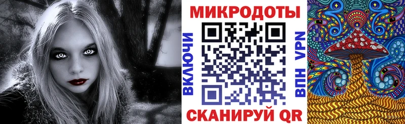 Купить  Невельск  Галлюциногенные грибы Cubensis 